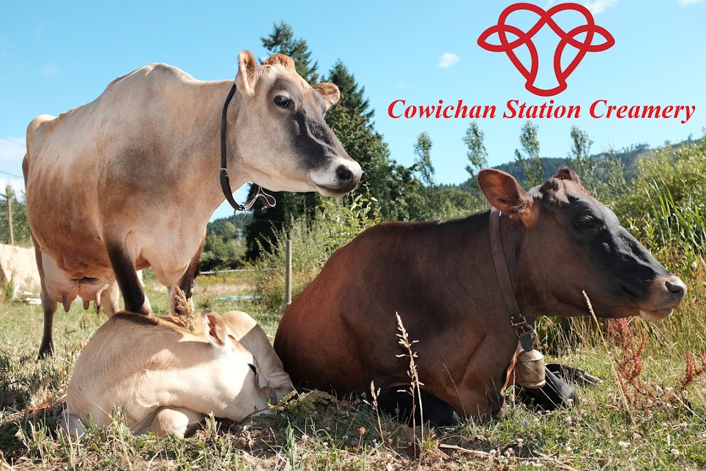 Cowichan Station Creamery Ltd. | 4354 Howie Rd, Duncan, BC V9L 6N3, Canada | Phone: (250) 710-3007