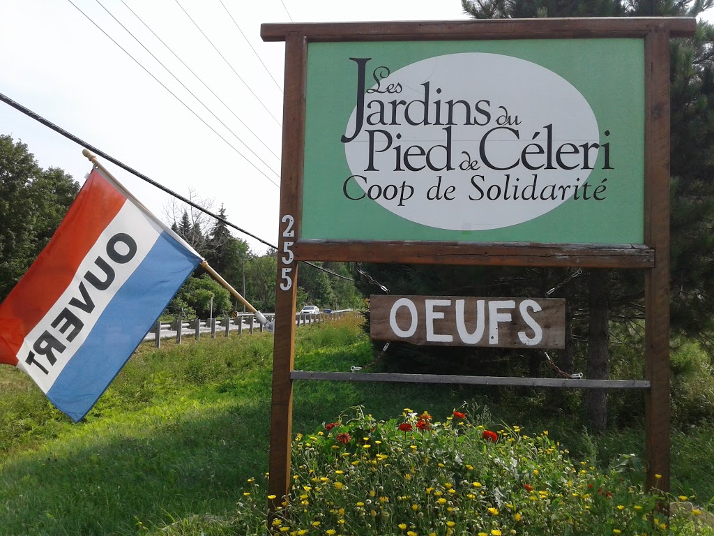 Coop - Pied de Céleri | 255 Rue Bruce, Dunham, QC J0E 1M0, Canada | Phone: (450) 775-8036