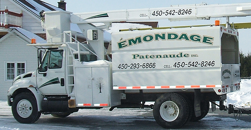 Emondage Gilles Patenaude inc | 156 8e Rang, Sainte-Brigide-dIberville, QC J0J 1X0, Canada | Phone: (450) 542-8246