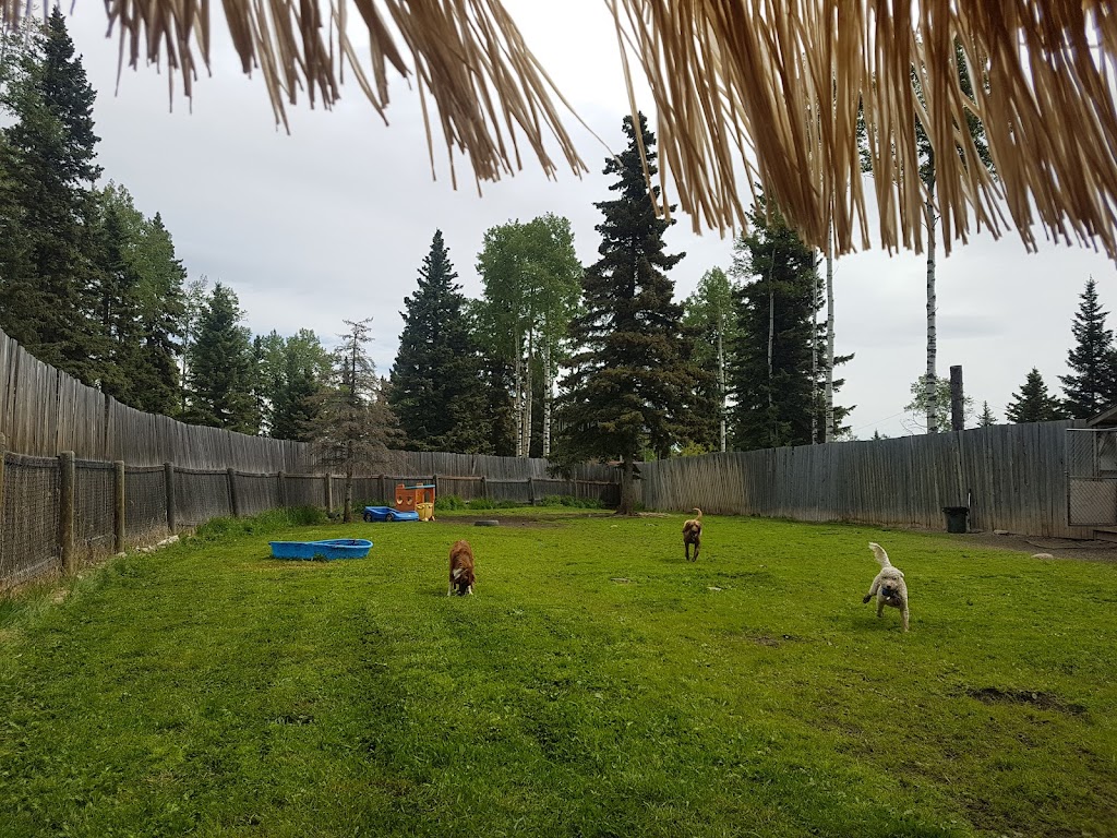 TreeTops Pet Resort | 265064, Range Rd 64, Waiparous Village, AB T4C 1A1, Canada | Phone: (403) 932-3354