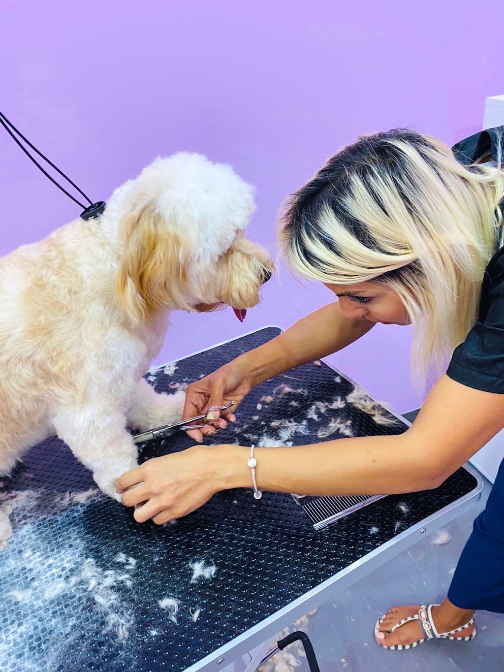 Ecomobile Pet Grooming & Dogy Boutique | 205 Don Head Village Blvd Unit 4, Richmond Hill, ON L4C 7R3, Canada | Phone: (416) 704-6061