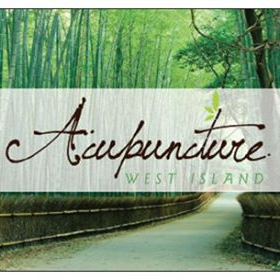 Audrey Lesquelin, Acupunctrice | 15000 Boul de Pierrefonds, Pierrefonds, QC H9H 4G2, Canada | Phone: (514) 880-6739