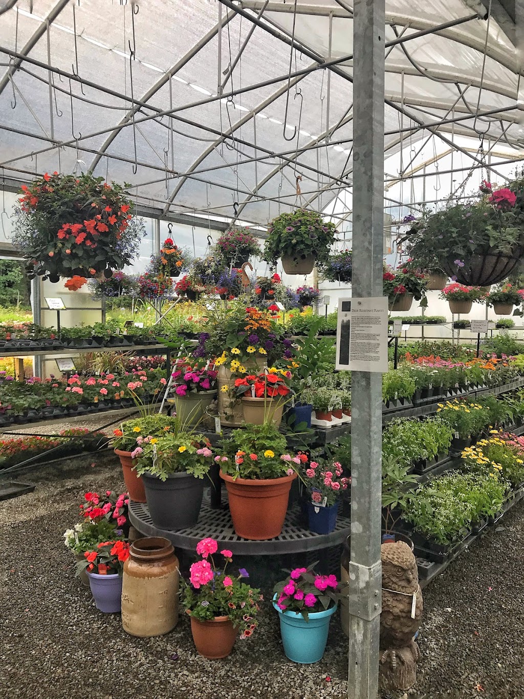 Ken-Dor Garden Centre | 845 Qualicum Rd, Qualicum Beach, BC V9K 2T6, Canada | Phone: (250) 594-1117