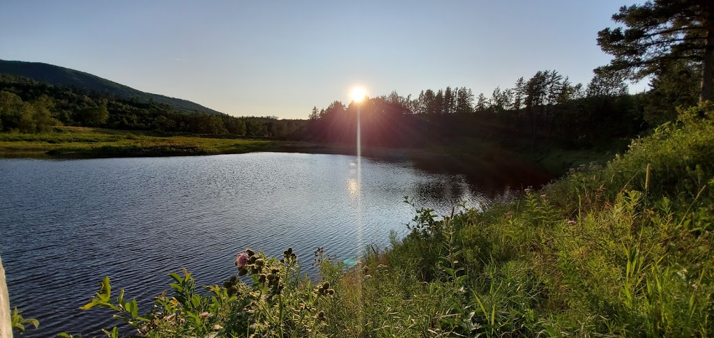 Camping Le Saumonier | 25 Chemin des Chutes, Clermont, QC G4A 1A9, Canada | Phone: (418) 439-0672