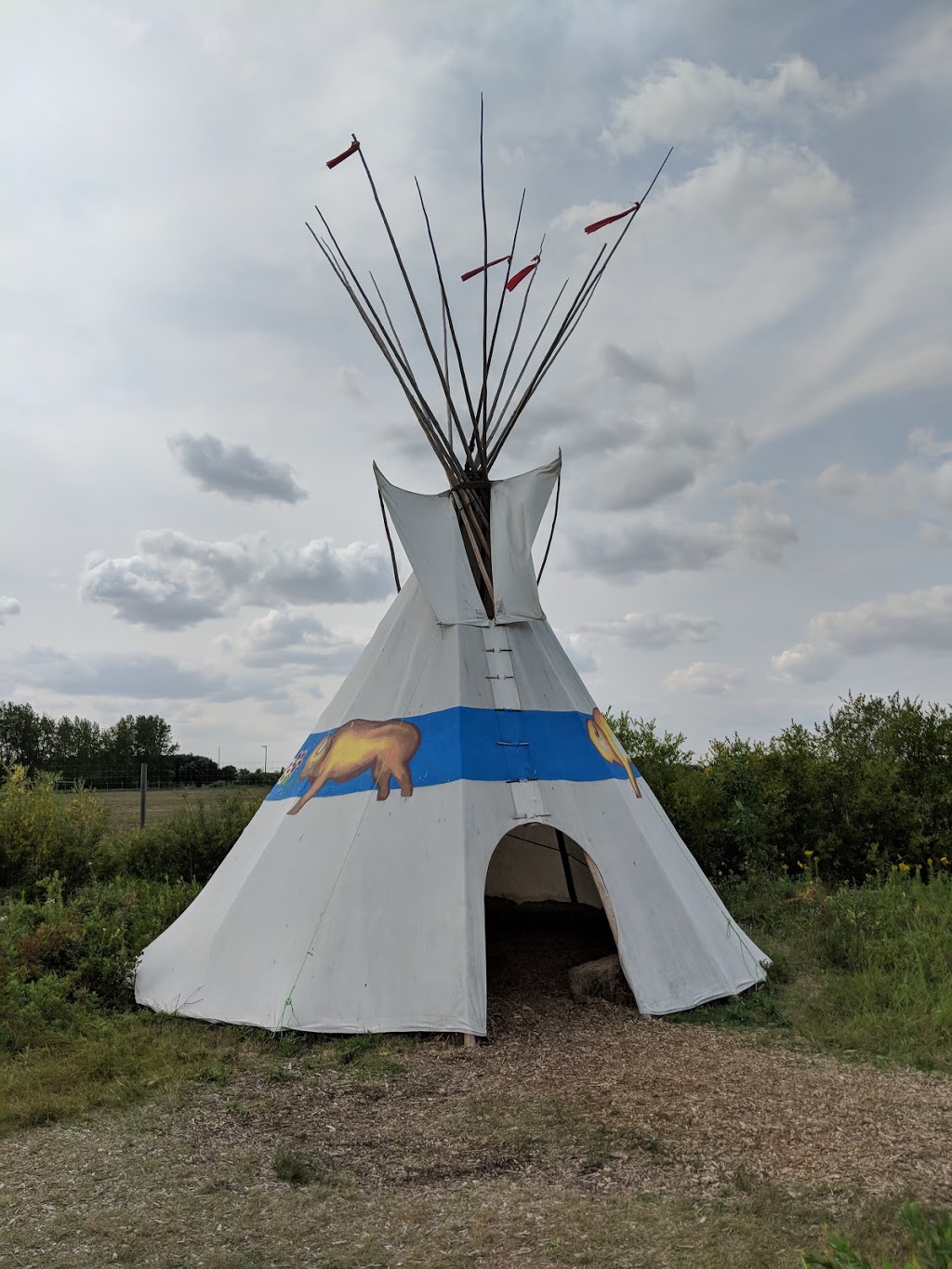 FortWhyte Alive Bison Lookout | Unnamed Rd,, Winnipeg, MB R3P 0S8, Canada