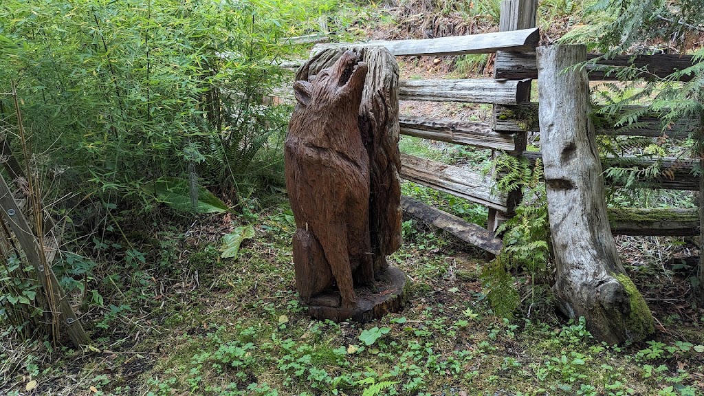 West Coast Chainsaw Artist | 4010 Forbidden Plateau Rd, Courtenay, BC B9J 1P9, Canada | Phone: (778) 992-1032