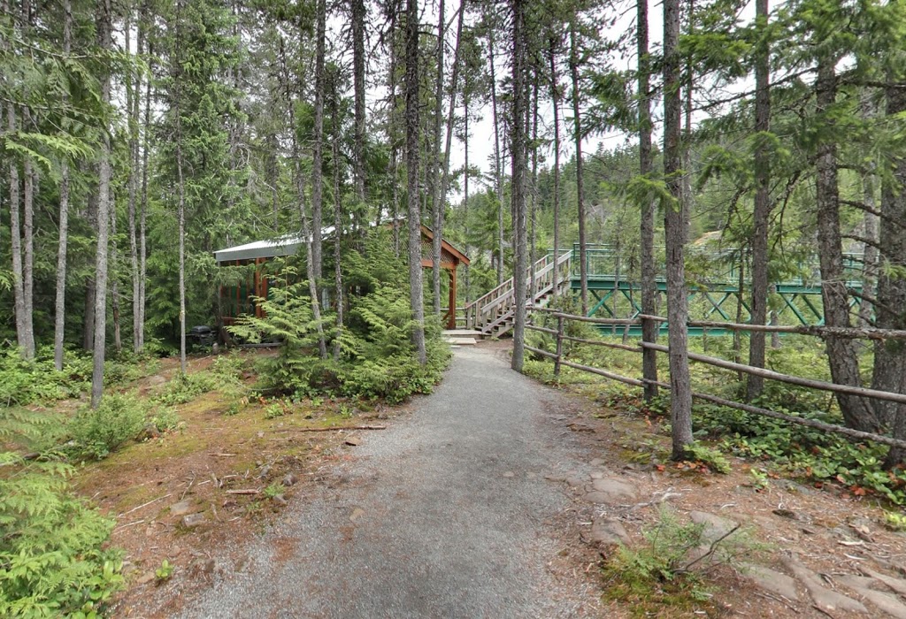 Whistler Bungee Bridge | Calcheak Forest Service Rd, Whistler, BC V0N 1B1, Canada | Phone: (877) 938-9333