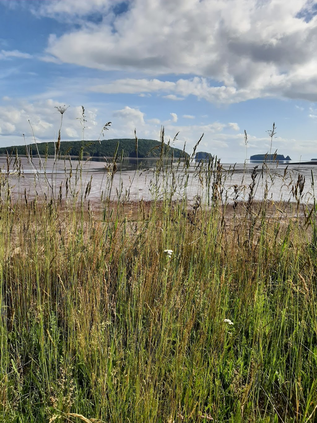 Diamond Shores Campground and Cabins | 59 Seascape Ln, Lower Five Islands, NS B0M 1N0, Canada | Phone: (902) 254-2903