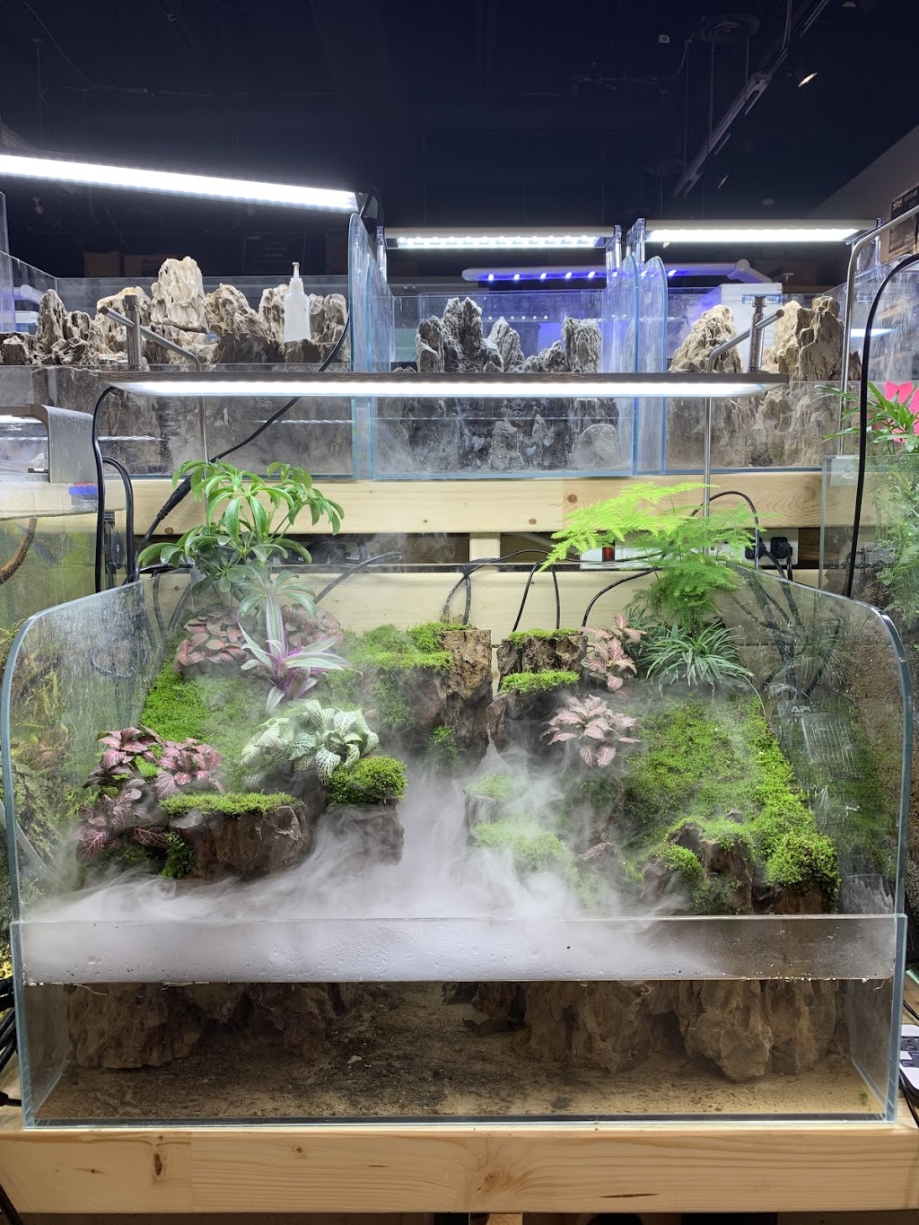 Flourish Aquarium | 9255 Woodbine Ave Unit B-7B, Markham, ON L6C 1Y9, Canada | Phone: (905) 534-8799