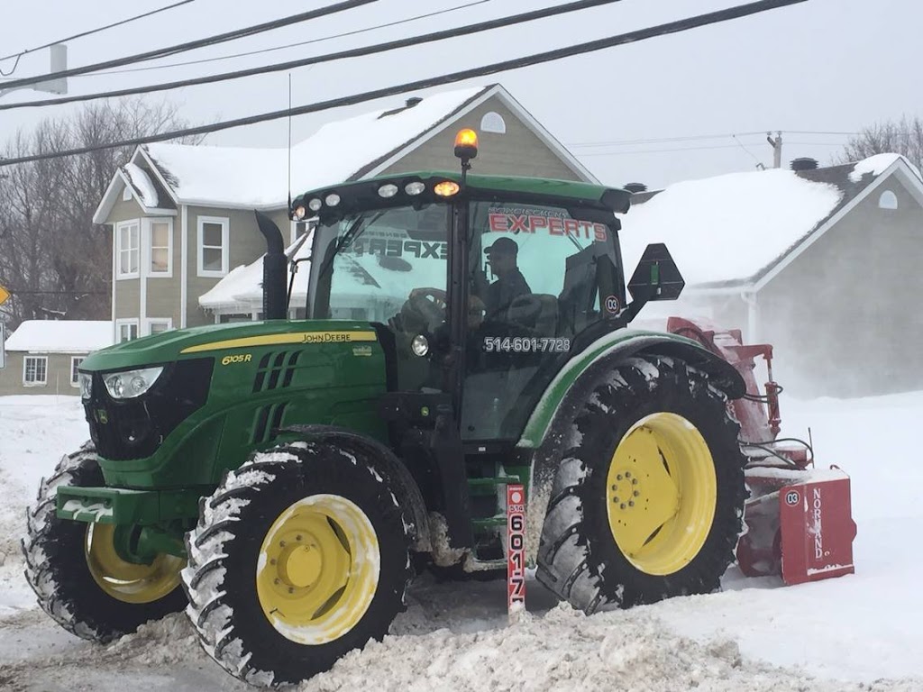 Déneigement Experts | 126 Rue Notre Dame N, Châteauguay, QC J6J 4T6, Canada | Phone: (514) 601-7728