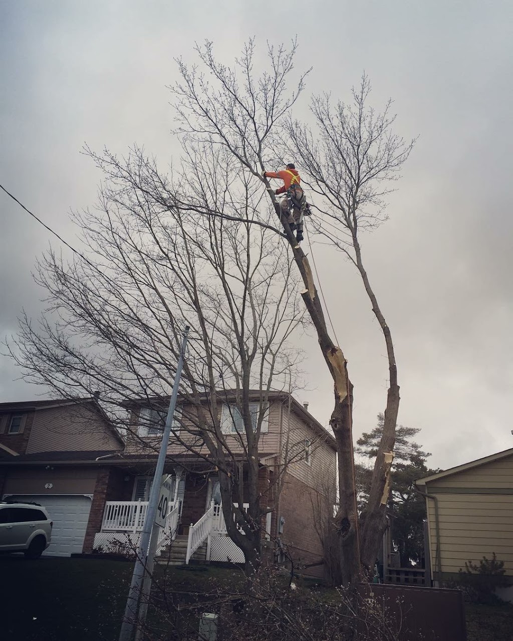 Hardy’s Tree Service | 22509 McCowan Rd, Mount Albert, ON L0G 1M0, Canada | Phone: (905) 251-1195