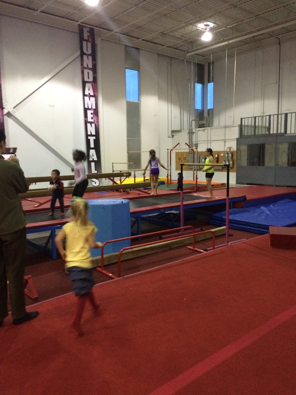 High Flyers Gymnastics | 1701 Creditstone Rd, Concord, ON L4K 5V6, Canada | Phone: (905) 832-1660