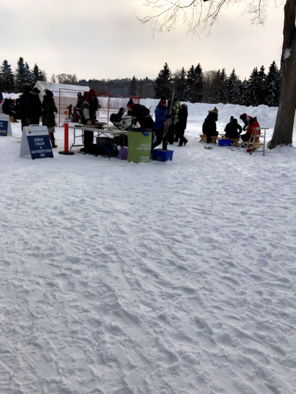 Silver Skate Festival Society | 10212 112 St NW, Edmonton, AB T5K 1M4, Canada | Phone: (780) 488-1960