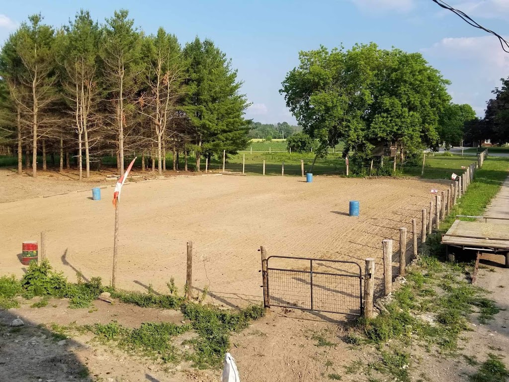 Mapleview Stables | 310 Wickens Rd, Frankford, ON K0K 2C0, Canada | Phone: (226) 239-2863