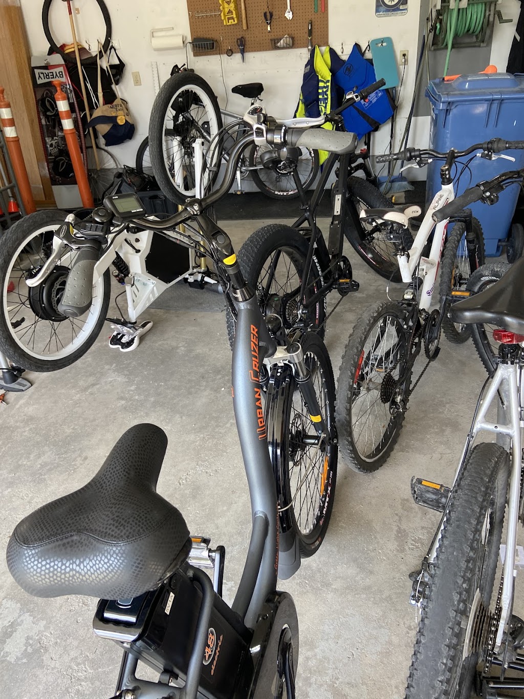 EBike Winnipeg | 37 Wiebes Dr, Winnipeg, MB R2G 2L5, Canada | Phone: (204) 227-7302