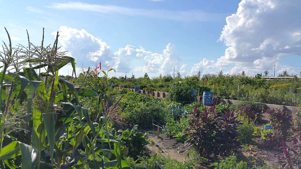 Griesbach Community Garden | Griesbach, Edmonton, AB T5E 6R1, Canada