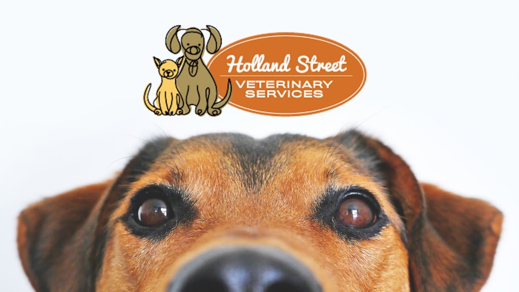 Holland Street Veterinary Services | 444 Holland St W, Bradford, ON L3Z 0G1, Canada | Phone: (905) 775-4787