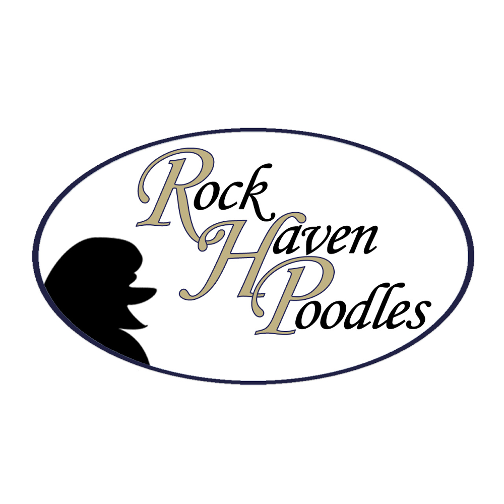 RockHaven Standard Poodles | 345 Franktown Rd, Carleton Place, ON K7C 2N4, Canada | Phone: (613) 250-2845