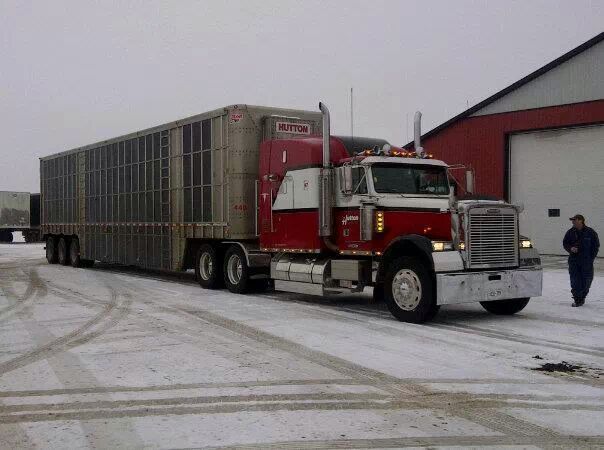 Lloyd Hutton Transport Ltd | 235 Canrobert St, Paisley, ON N0G 2N0, Canada | Phone: (800) 361-3166