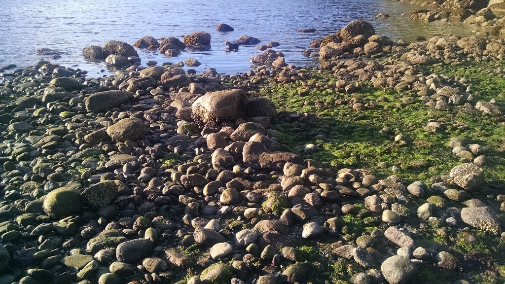 Furry Creek Dive Site | Beach Dr, Squamish-Lillooet D, BC, Canada