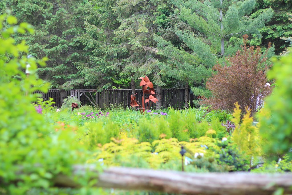 Whitehouse Perennials & Display Gardens | 594 Rae Rd, Almonte, ON K0A 1A0, Canada | Phone: (613) 256-3406