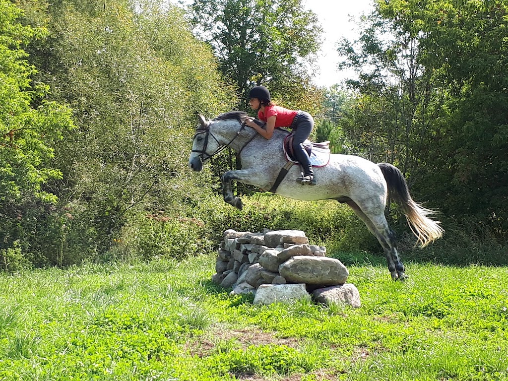 Ferme Willowbrook Farm (École déquitation classique) | 9125 Rue St Vincent, Mirabel, QC J7N 2V5, Canada | Phone: (514) 606-3327