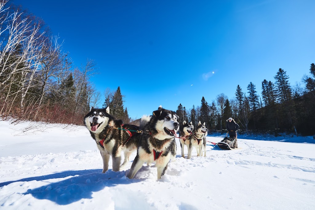 Between Dog And Wolf s.e.n.c. | 190 Chem. Périgny, LAnse-Saint-Jean, QC G0V 1J0, Canada | Phone: (418) 272-1540