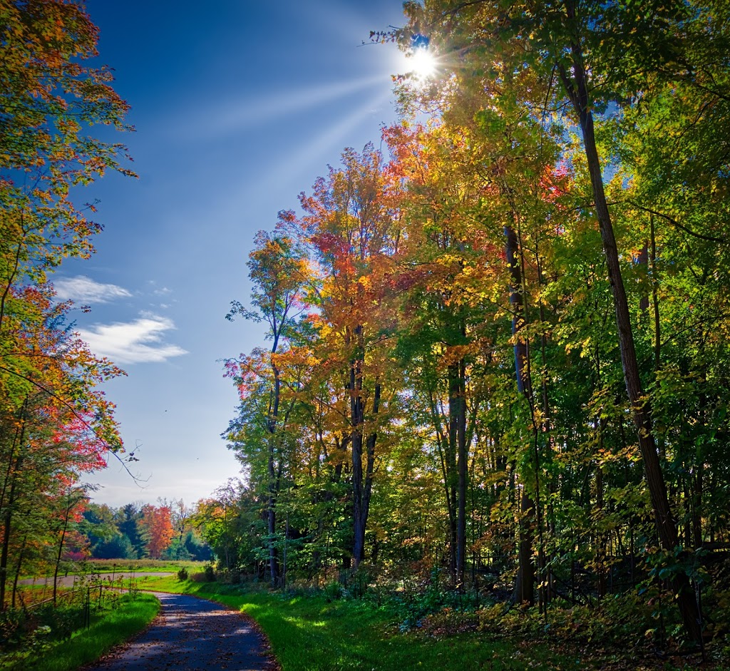 Maple Nature Reserve | 10401 Dufferin St, Maple, ON L6A 1S2, Canada