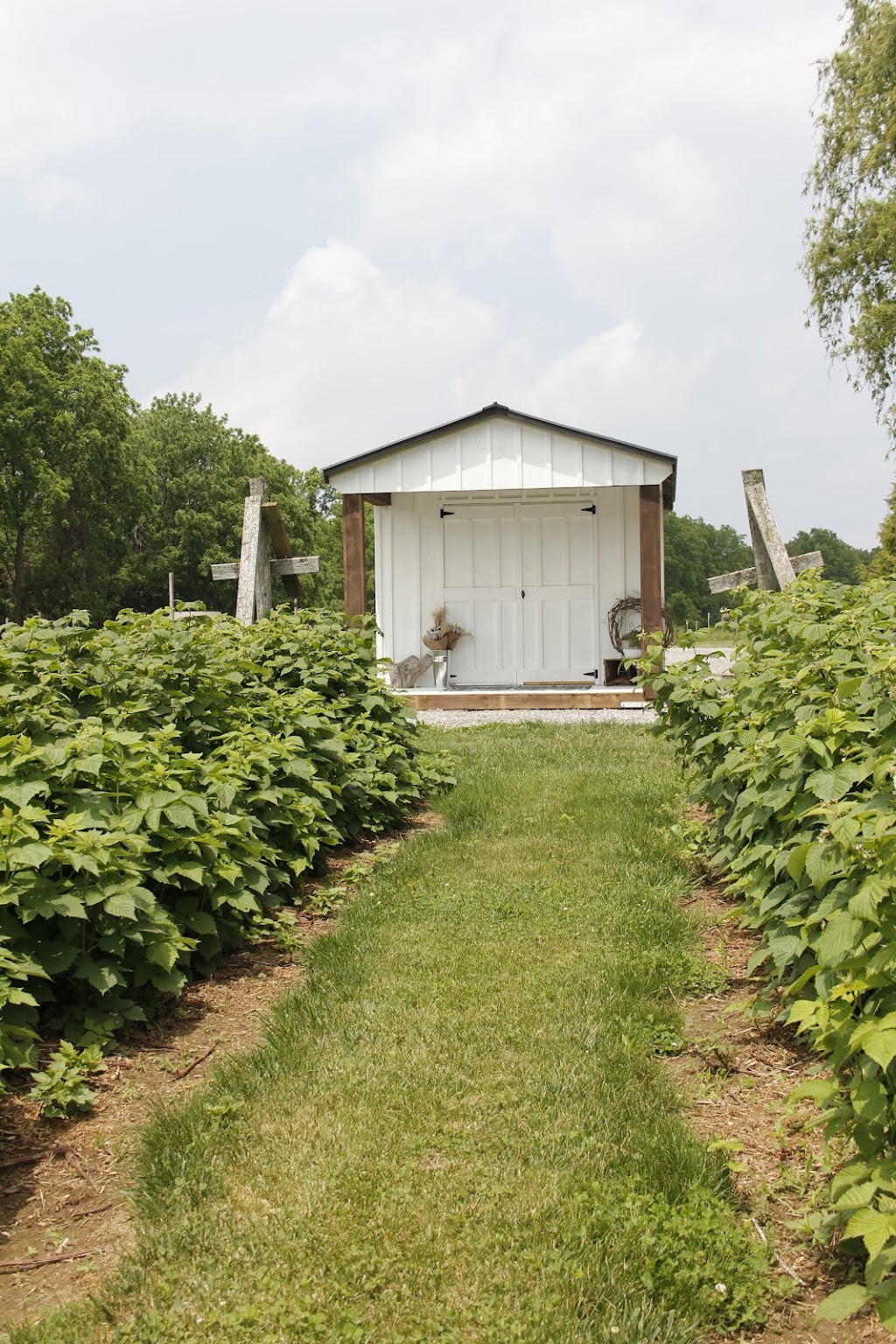 Fire Creek Farms Market | 3155 Tallman Dr, Vineland, ON L0R 2C0, Canada | Phone: (905) 651-2359