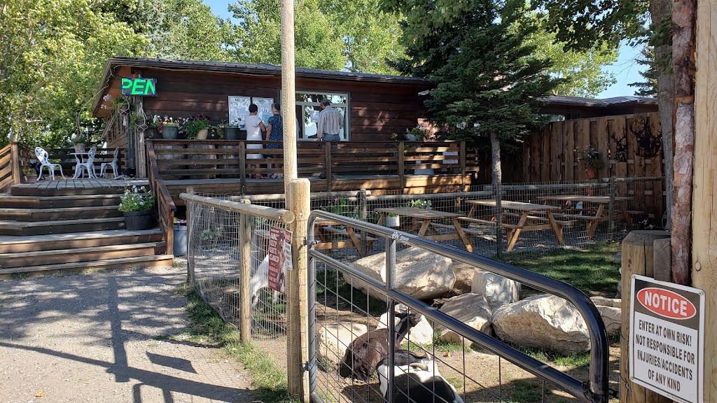 The Grumpy goat | 1 AB-6, Twin Butte, AB T0K 2J0, Canada | Phone: (403) 548-4556