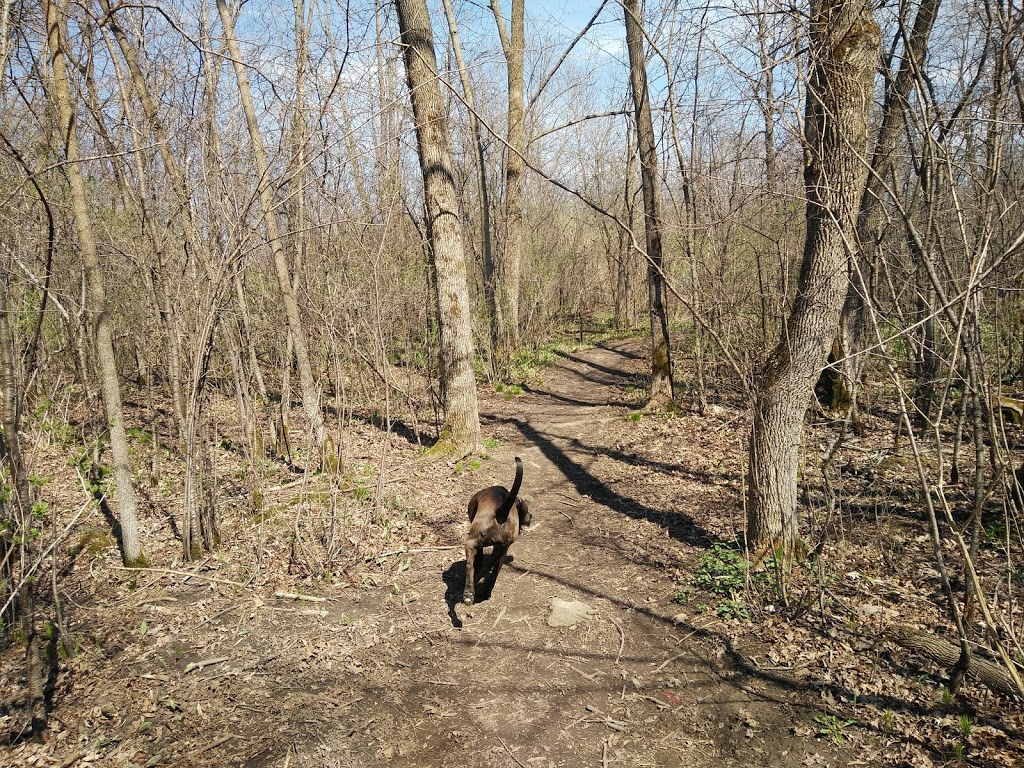 Rotary Park Dog Park | Kingston, ON K7M, Canada