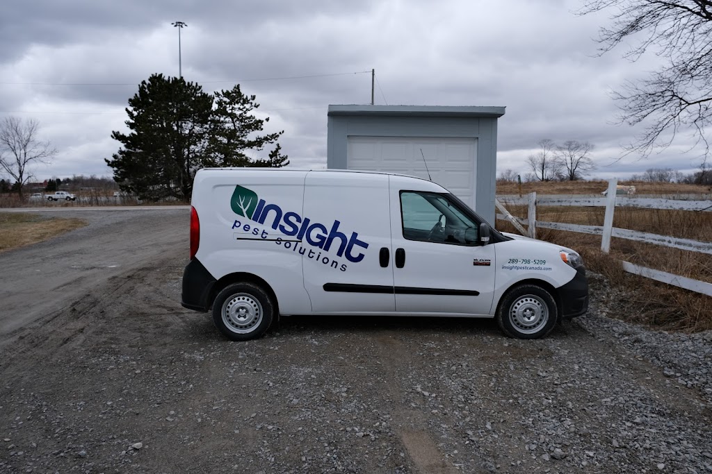 Insight Pest Solutions | 1701 Darlington Park Rd, Courtice, ON L1E 2P7, Canada | Phone: (647) 247-7853