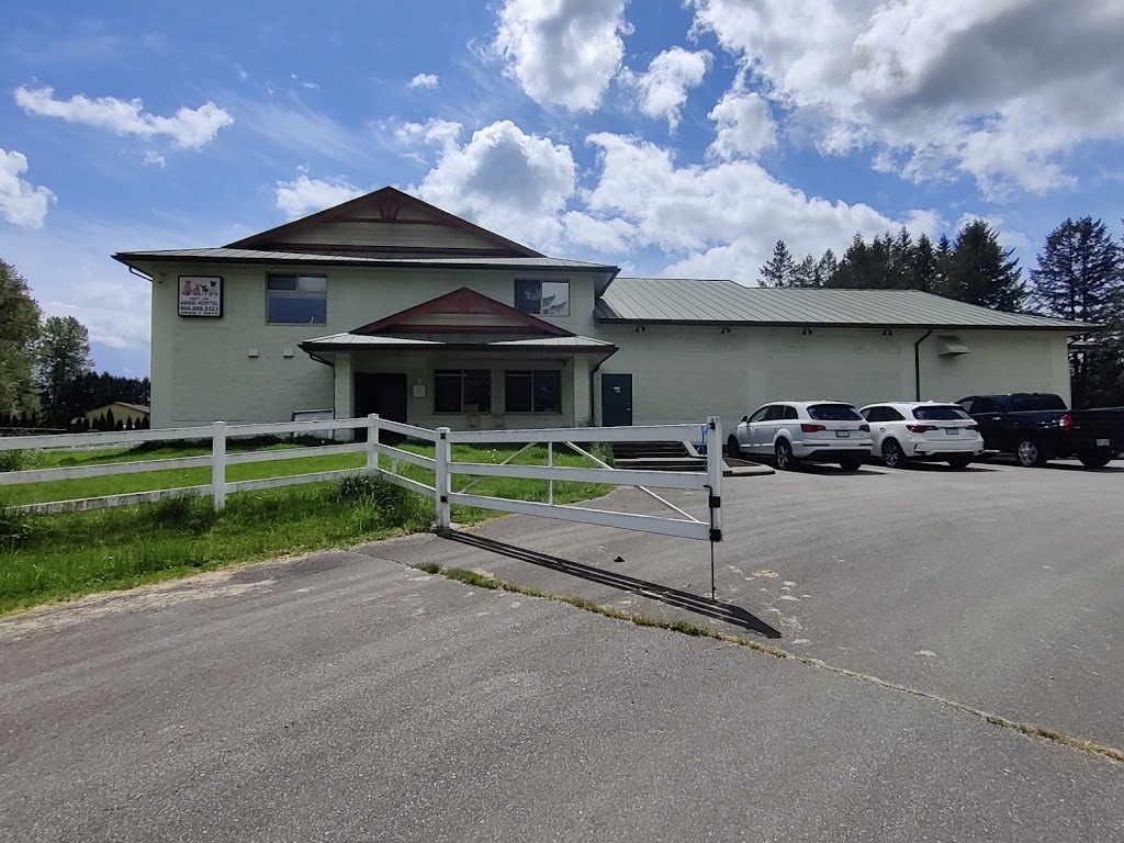 Hwy1 232 Animal Hospital | 22970 BC-10, Langley Twp, BC V2Y 2J7, Canada | Phone: (604) 340-8047