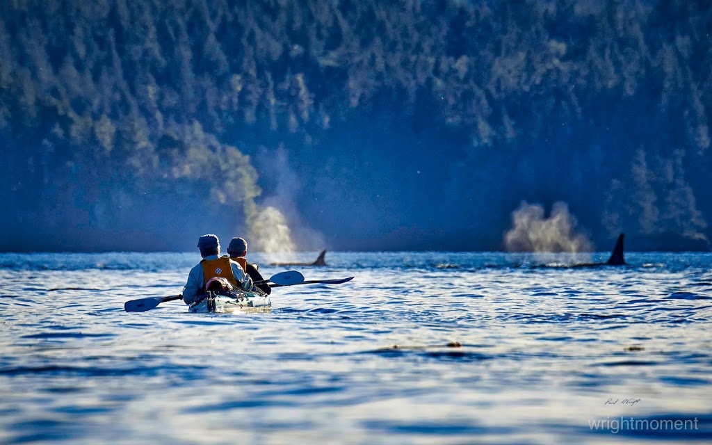 Discovery Orca Seakayaking Expeditions | 221 Ferntree Pl, Nanaimo, BC V9T 5M1, Canada | Phone: (250) 756-0094