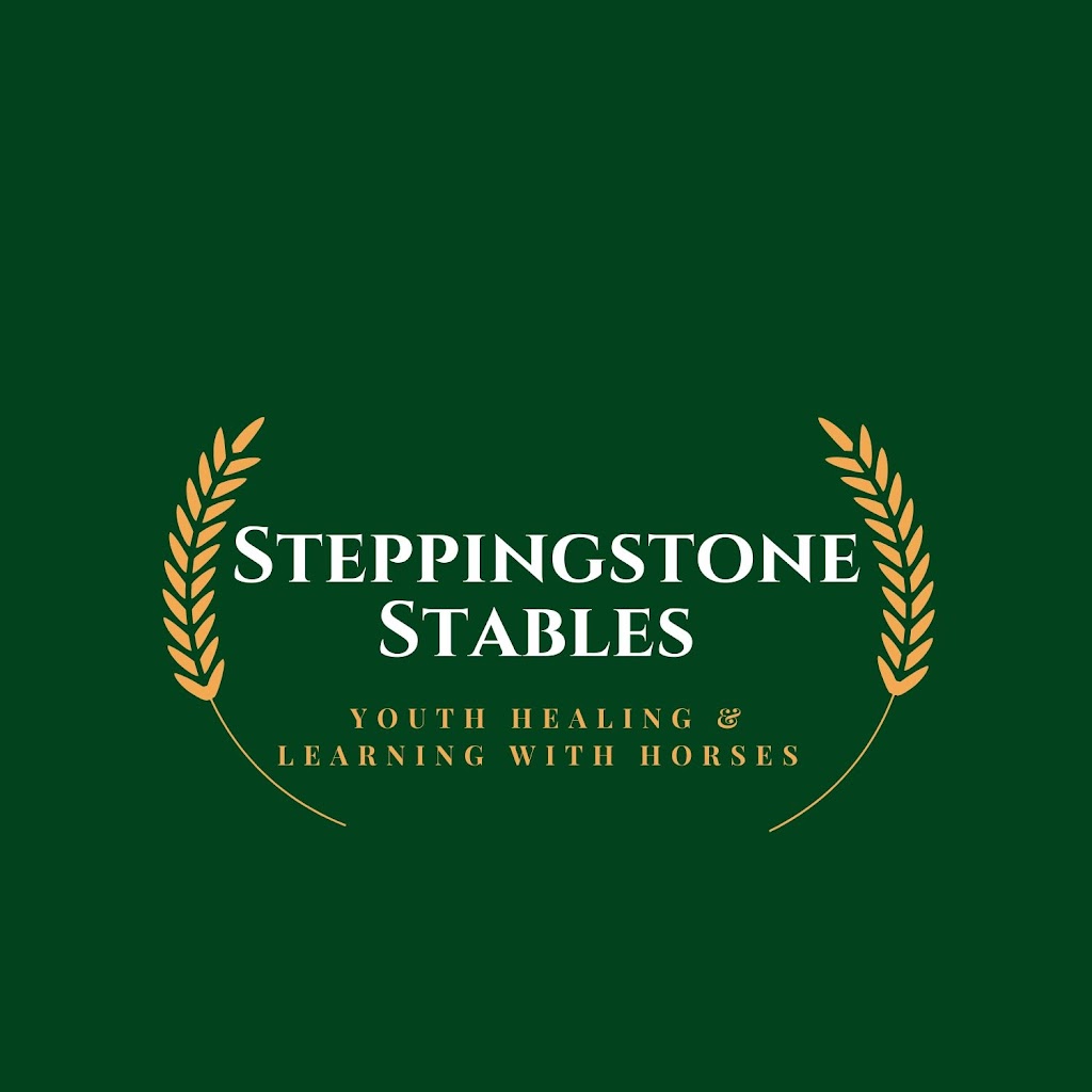 Steppingstone Stables | 201048 Twp Rd 11 #4, Iron Springs, AB T0K 1G0, Canada | Phone: (403) 634-6565