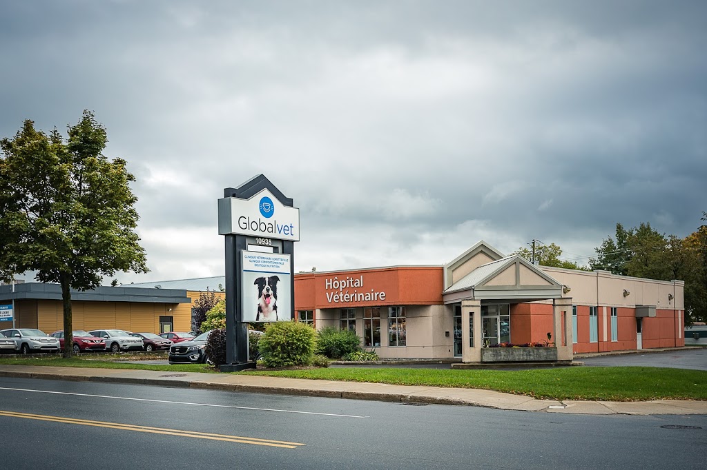 Globalvet - Veterinary Clinic Loretteville | 10935 Boulevard de lOrmière, Québec, QC G2B 3L5, Canada | Phone: (418) 842-5048