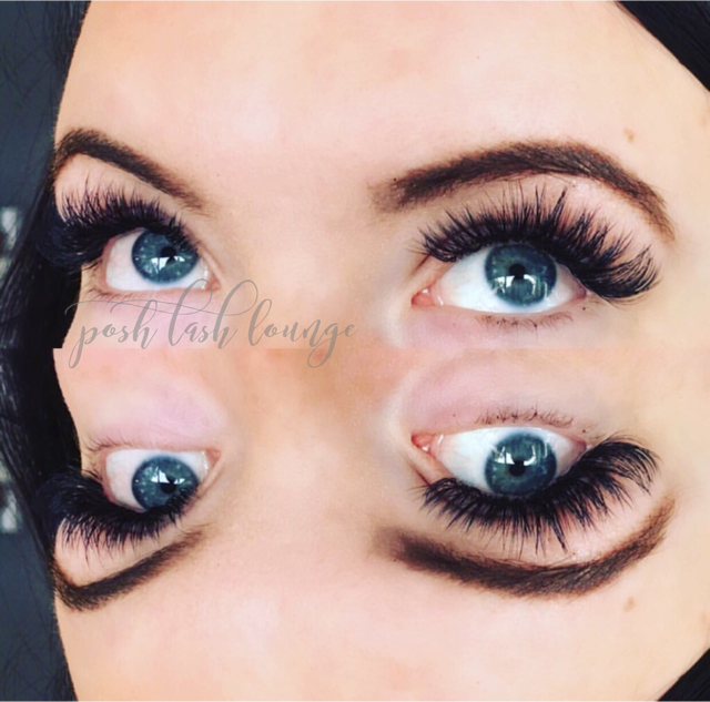 Posh Lash & Brow Lounge | 99 Wye Rd Suite 13, Sherwood Park, AB T8B 1M1, Canada | Phone: (780) 467-9994