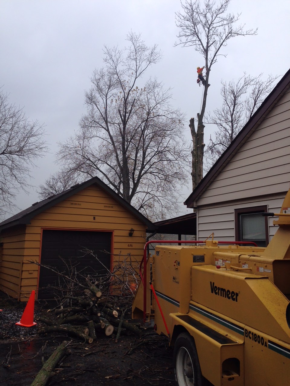 Brooklin Tree Care | 6675 Cochrane St, Whitby, ON L1M 1R4, Canada | Phone: (905) 242-2279