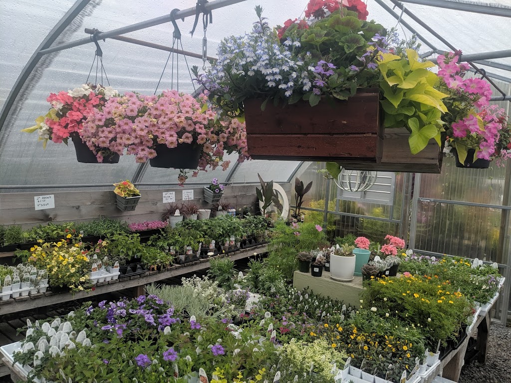 The Garden Shop at High Country | 8069 Mons Ct, Whistler, BC V8E 1K8, Canada | Phone: (604) 932-3654