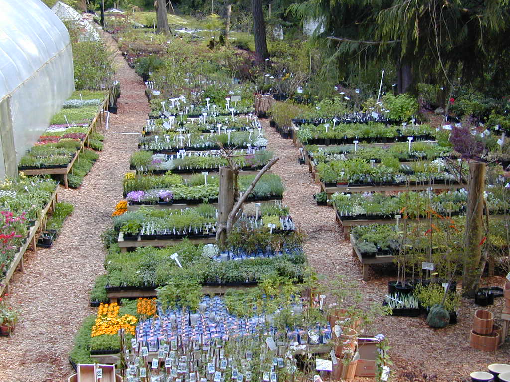 Frasers Thimble Farm | 175 Arbutus Rd, Salt Spring Island, BC V8K 1A3, Canada | Phone: (250) 537-5788