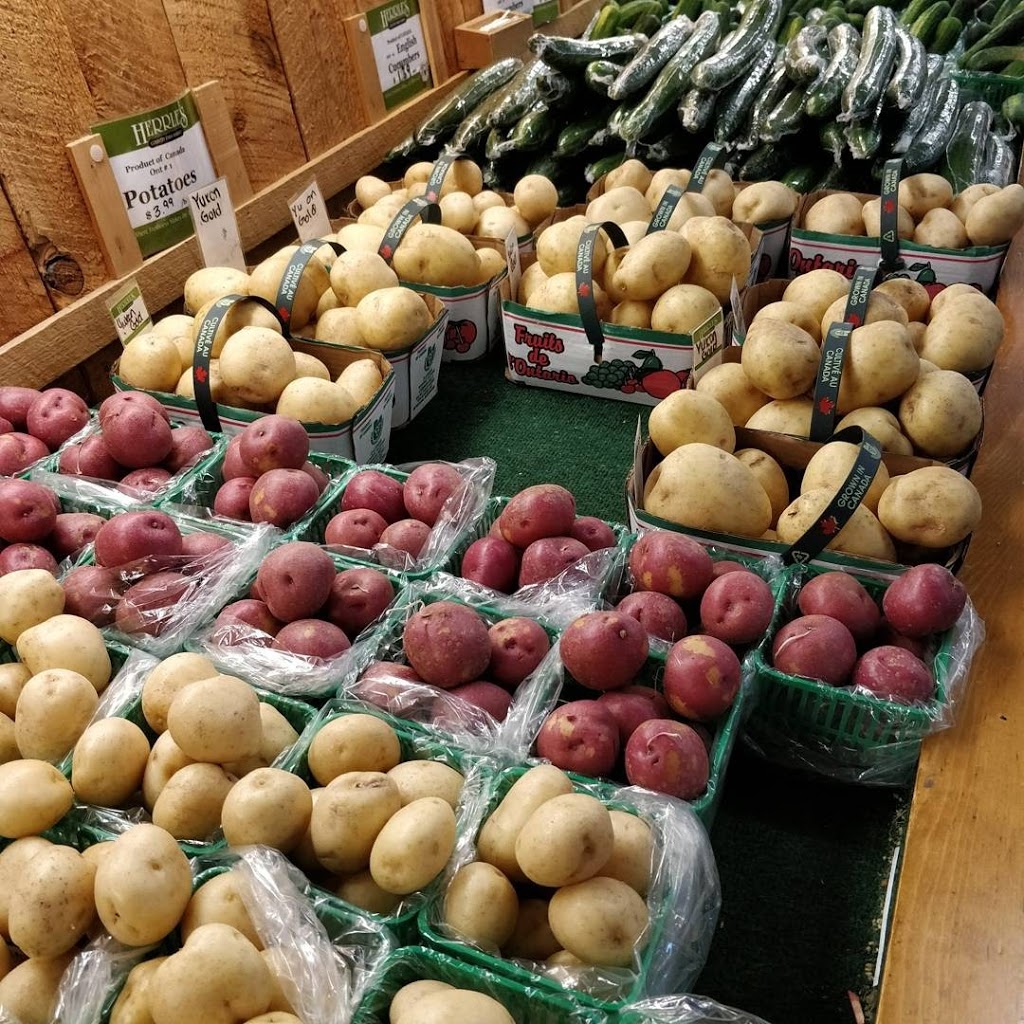 Herrles Country Farm Market (closed for the season) | 1243 Erbs Rd, St. Agatha, ON N0B 2L0, Canada | Phone: (519) 886-7576