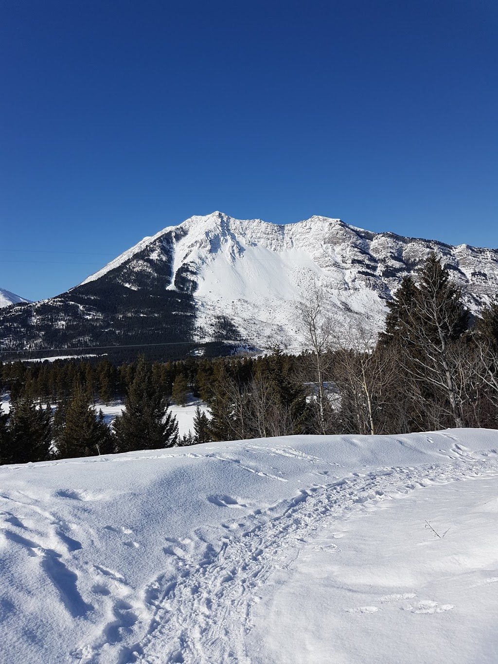 Firemans Park | Crowsnest Pass, AB T0K 0C0, Canada | Phone: (403) 562-2511