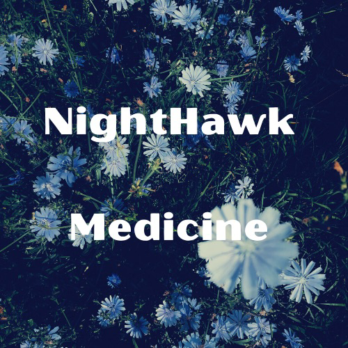 NightHawk Medicine | 409 Roncesvalles Ave, Toronto, ON M6R 2N1, Canada | Phone: (647) 707-7384