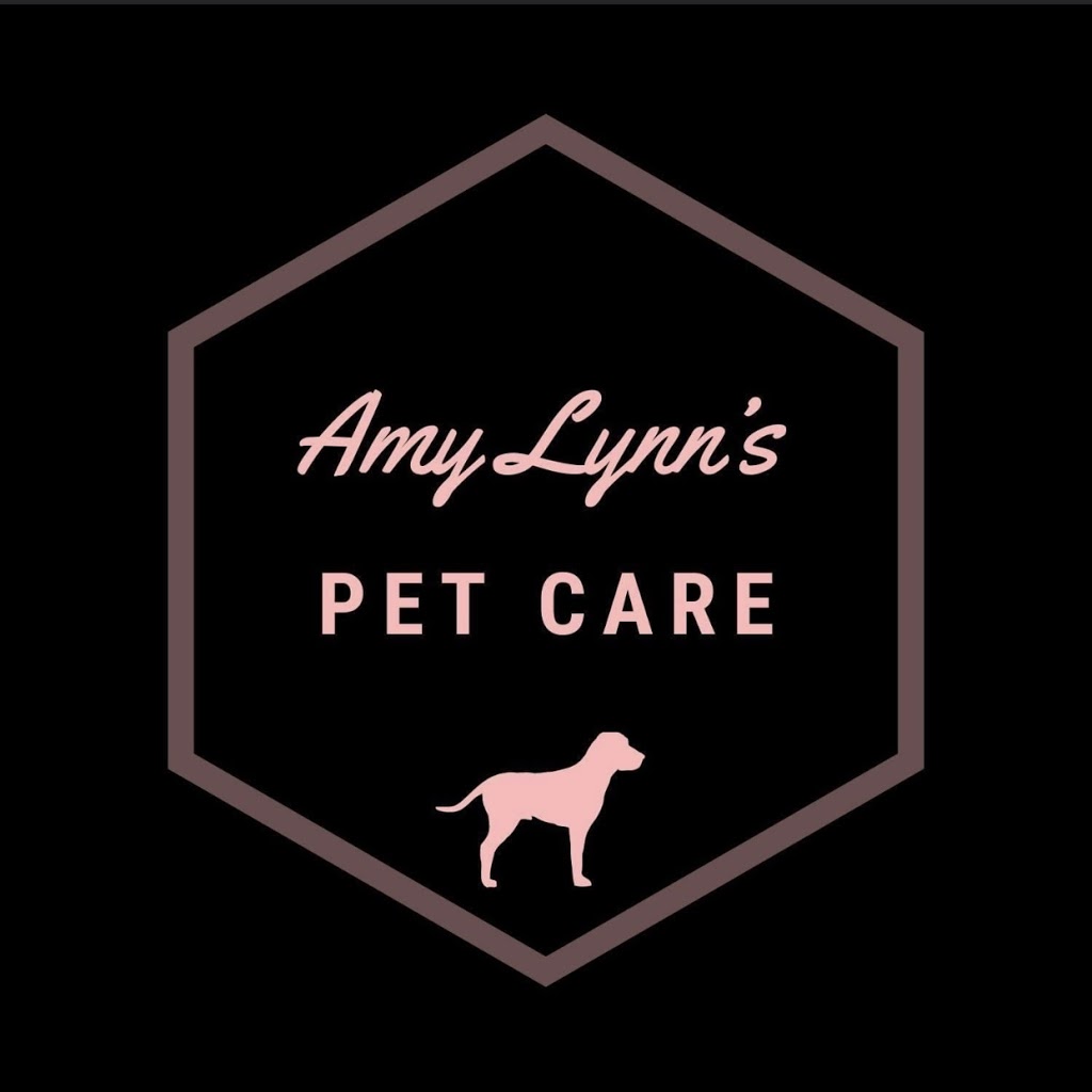Amy Lynns pet care | 193 Dundas Ln, Cambridge, ON N1R 1S7, Canada | Phone: (519) 503-6574