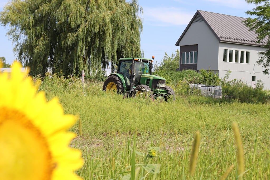 Vocational Training Center Harvest | 260 Rue Gagnon, Beauharnois, QC J6N 3B8, Canada | Phone: (450) 225-1084