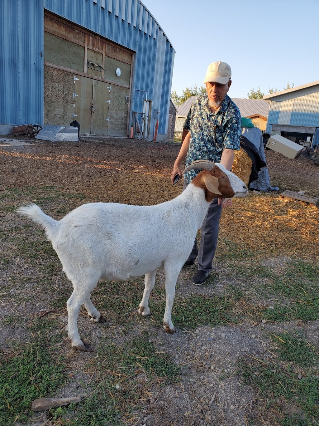 Roberts Farm | Macdonald, MB R0G 1N0, Canada | Phone: (204) 781-8522