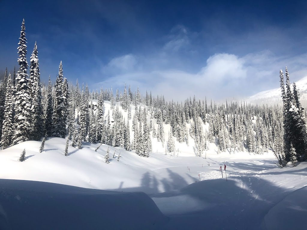 Blanket Glacier Chalet | British Columbia V0E 2S0, Canada | Phone: (403) 678-4102