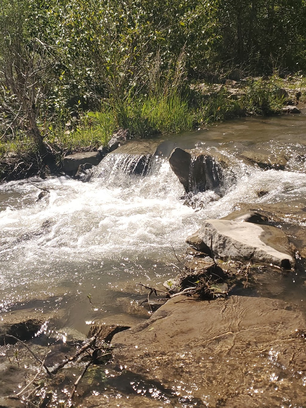 Pincher Creek Agriculture Grounds | 209 Canyon Dr, Pincher Creek, AB T0K 1W0, Canada | Phone: (403) 627-4702