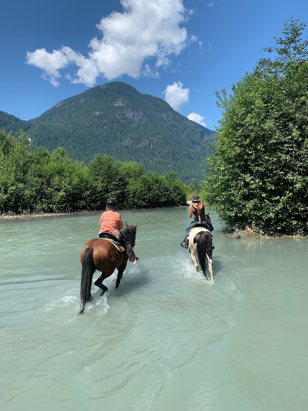 Squamish River Horse Adventures - SRHA | 15986 Squamish Valley Rd, Brackendale, BC V0N 1H0, Canada | Phone: (604) 905-8565