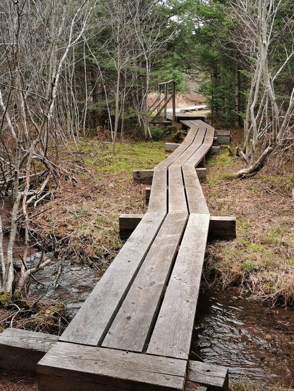 Gully Lake Wilderness Area | Kemptown Rd, Kemptown, NS, Canada | Phone: (800) 565-1633